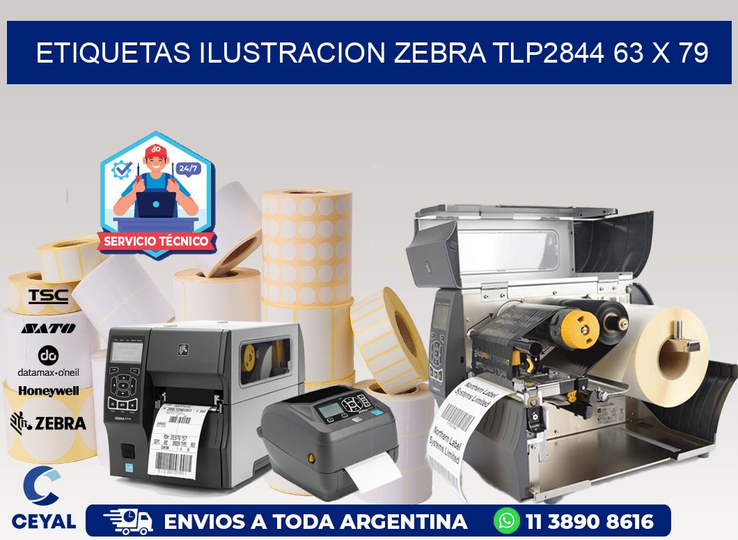 ETIQUETAS ILUSTRACION ZEBRA TLP2844 63 x 79