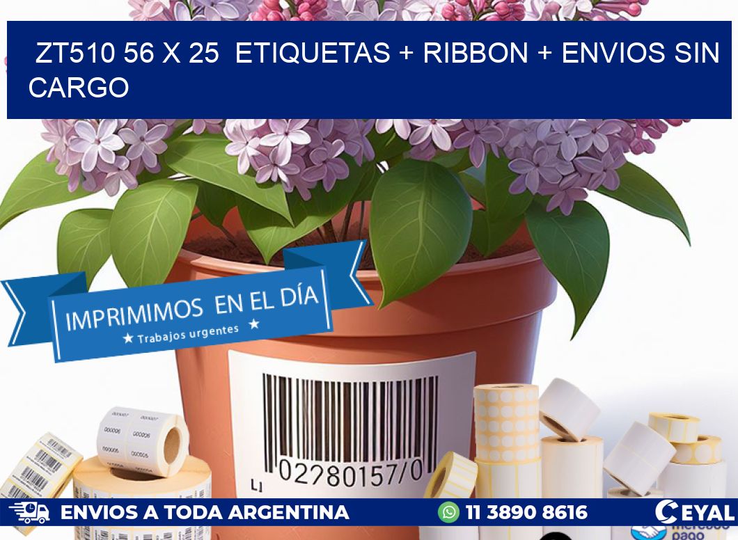 ZT510 56 x 25  etiquetas + ribbon + envios sin cargo