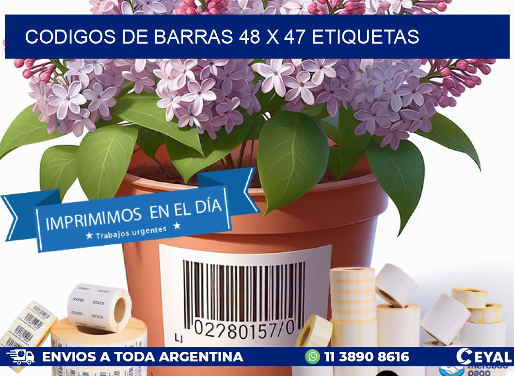 codigos de barras 48 x 47 etiquetas