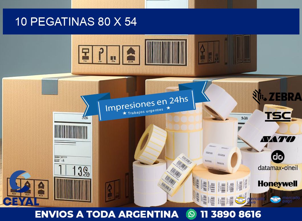 10 PEGATINAS 80 x 54