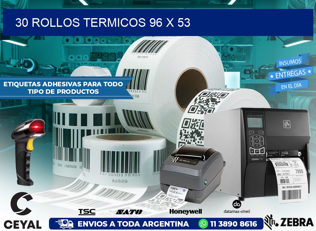 30 ROLLOS TERMICOS 96 x 53