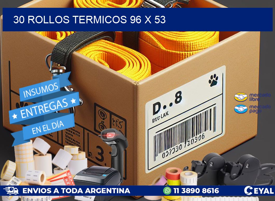 30 ROLLOS TERMICOS 96 x 53
