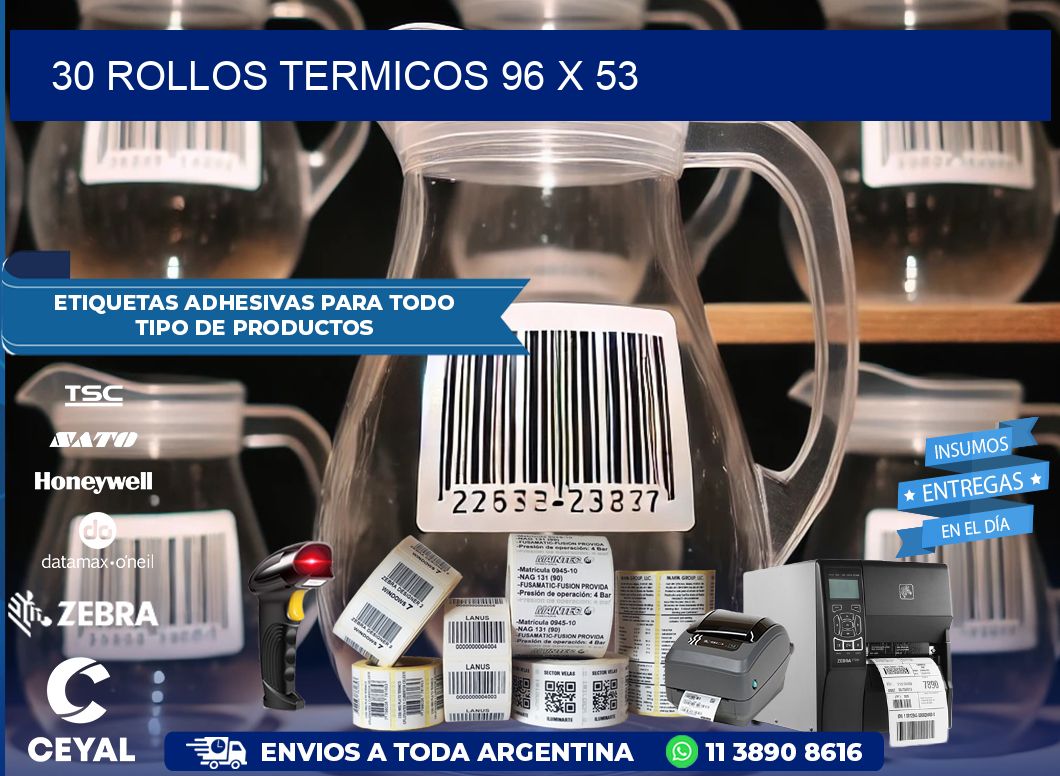 30 ROLLOS TERMICOS 96 x 53