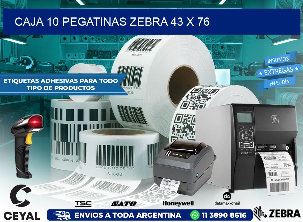 CAJA 10 PEGATINAS ZEBRA 43 x 76