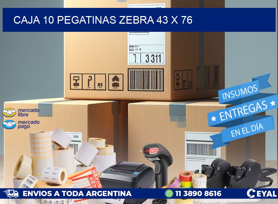 CAJA 10 PEGATINAS ZEBRA 43 x 76