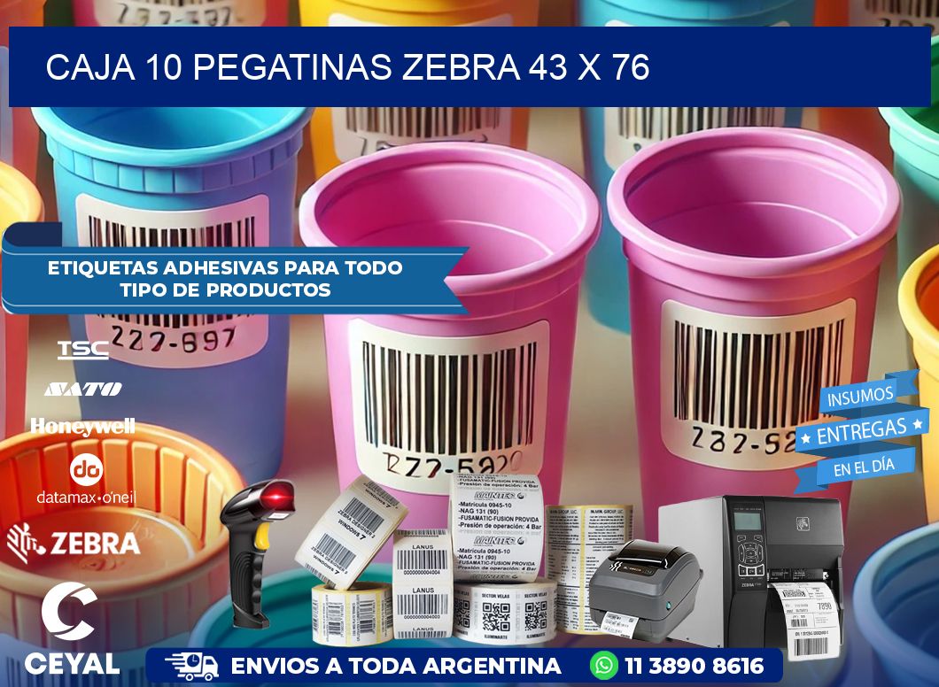 CAJA 10 PEGATINAS ZEBRA 43 x 76