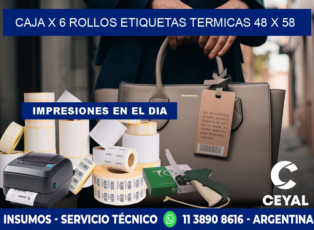 Caja X 6 Rollos Etiquetas termicas 48 x 58