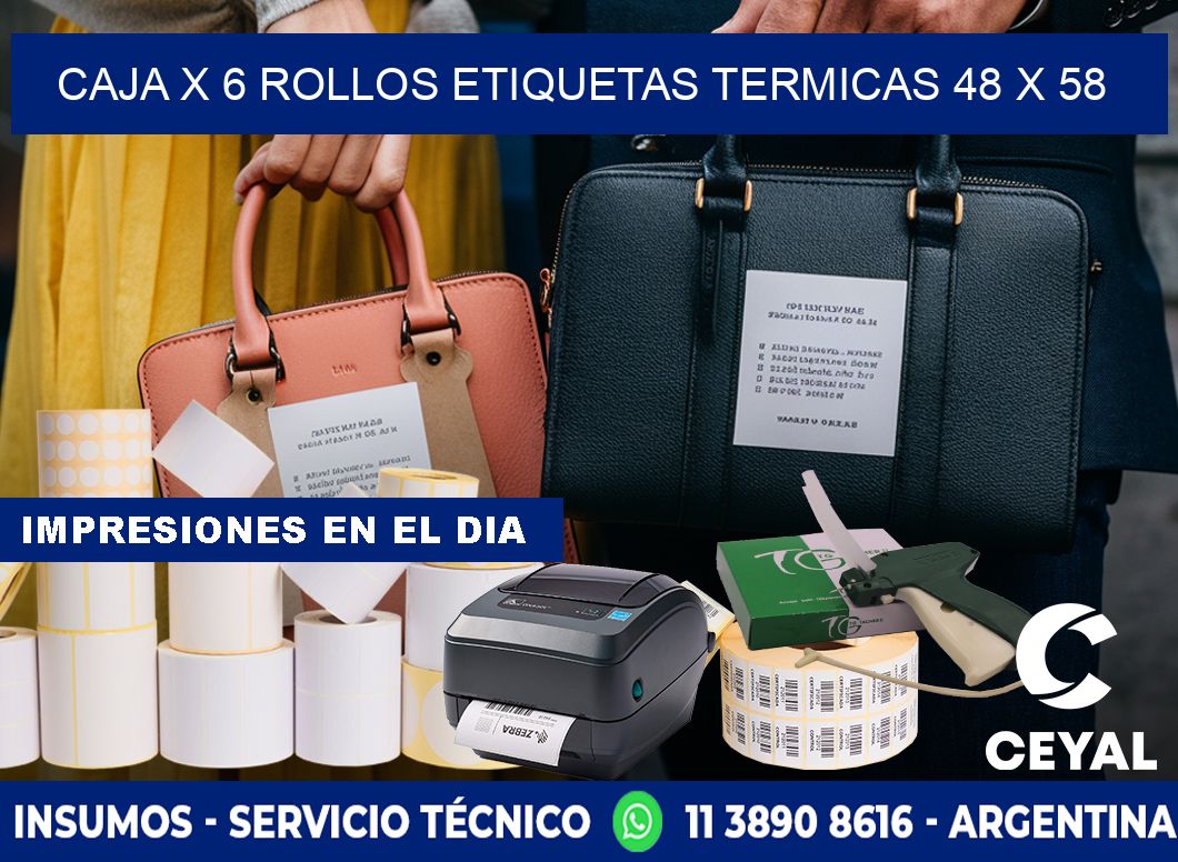 Caja X 6 Rollos Etiquetas termicas 48 x 58