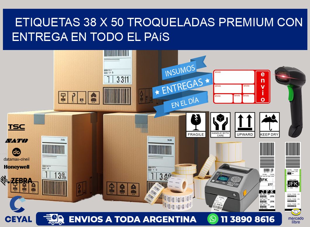 Etiquetas 38 x 50 troqueladas premium con entrega en todo el país