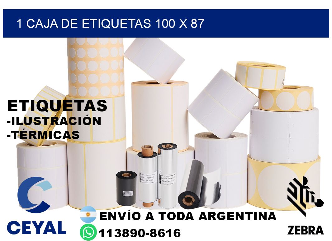 1 caja de etiquetas 100 x 87