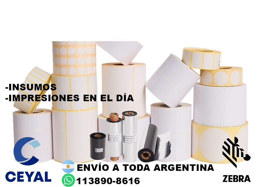 20685 Impresora de etiquetas autoadhesivas industrial