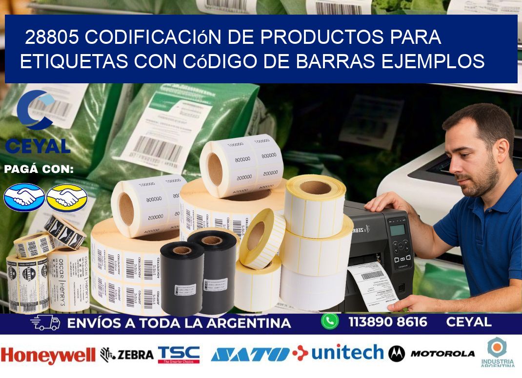 28805 Codificación de productos para etiquetas con código de barras ejemplos