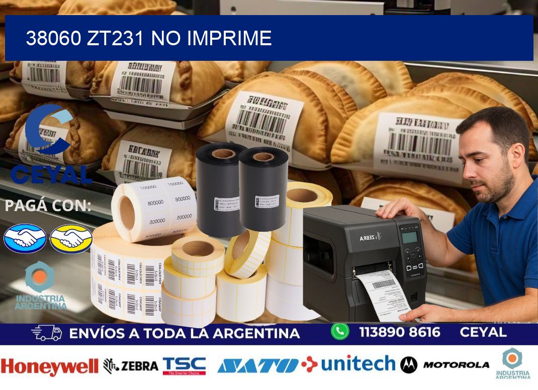 38060 ZT231 no imprime