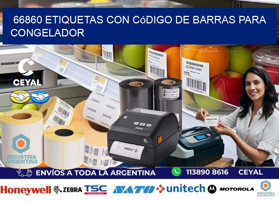 66860 Etiquetas con código de barras para congelador