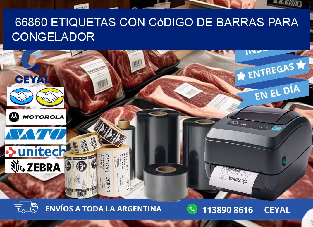 66860 Etiquetas con código de barras para congelador