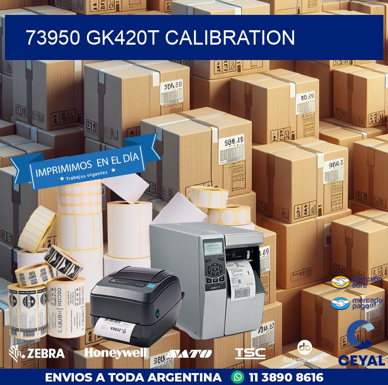 73950 GK420T Calibration