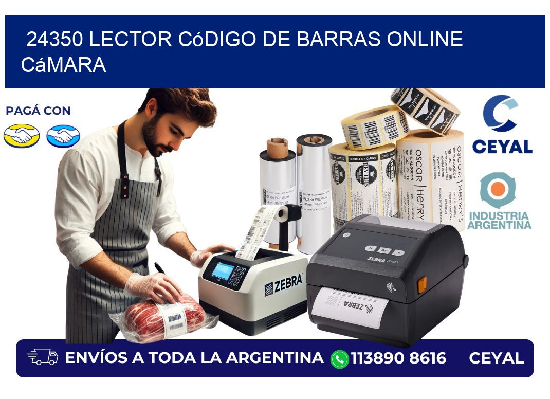 24350 Lector código de barras online cámara
