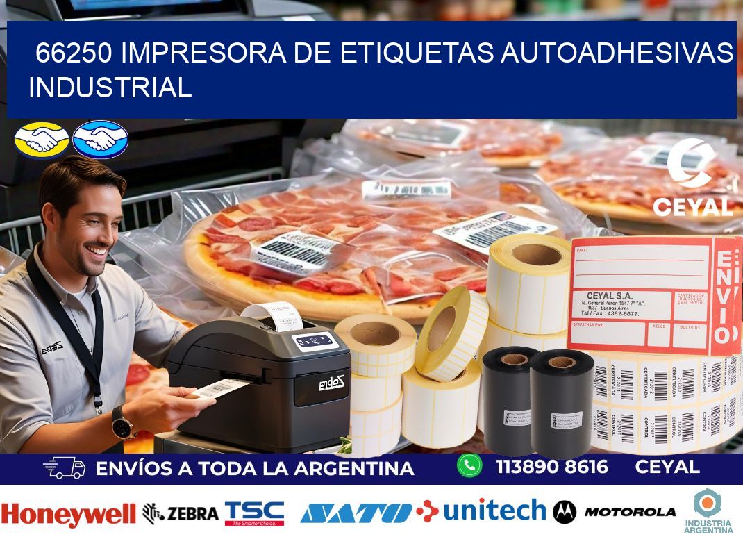 66250 Impresora de etiquetas autoadhesivas industrial