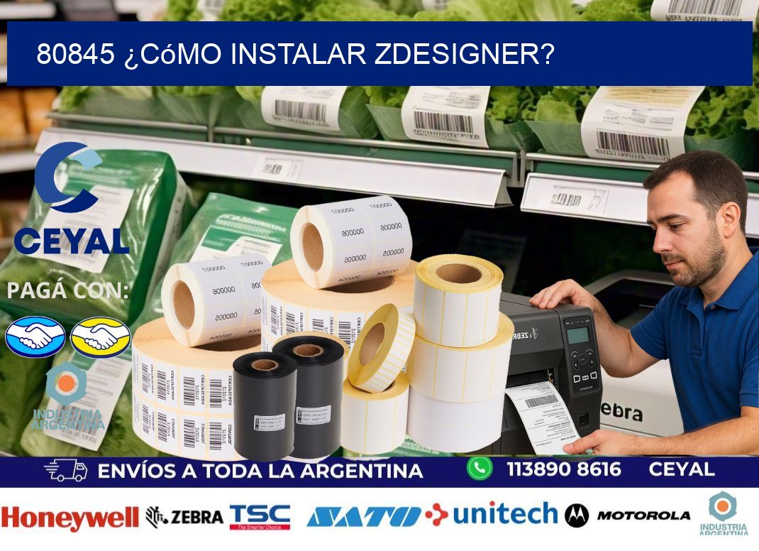 80845 ¿Cómo instalar ZDesigner?