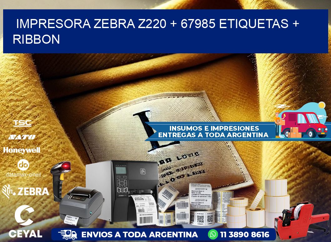 impresora zebra z220 + 67985 etiquetas + ribbon