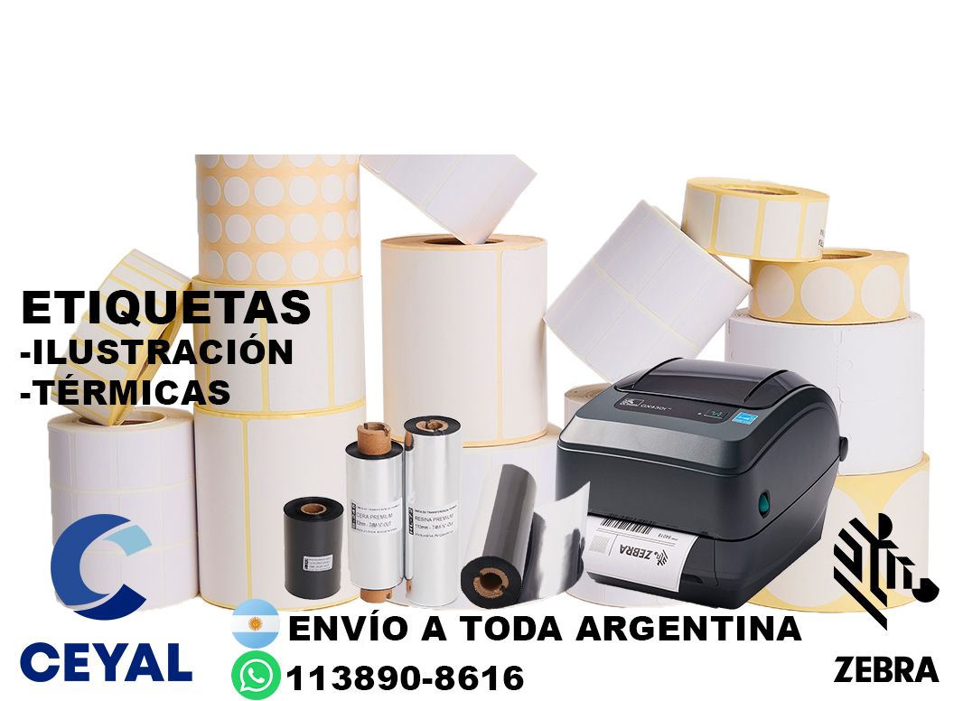 impresora zebra zm400 + 25240 etiquetas + ribbon
