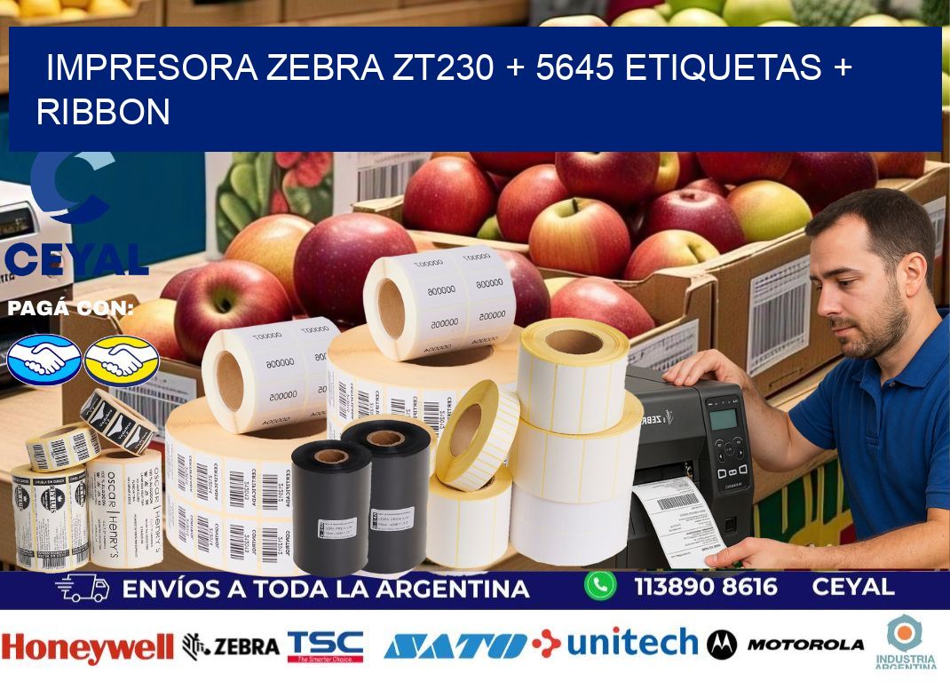impresora zebra zt230 + 5645 etiquetas + ribbon