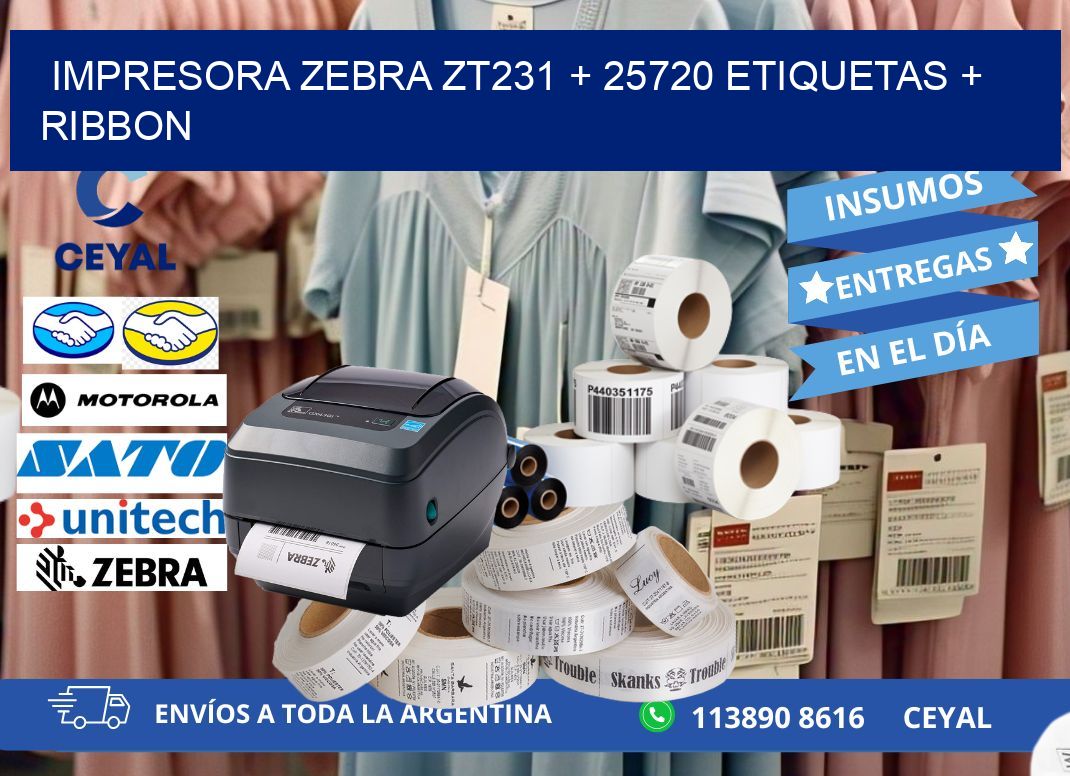 impresora zebra zt231 + 25720 etiquetas + ribbon