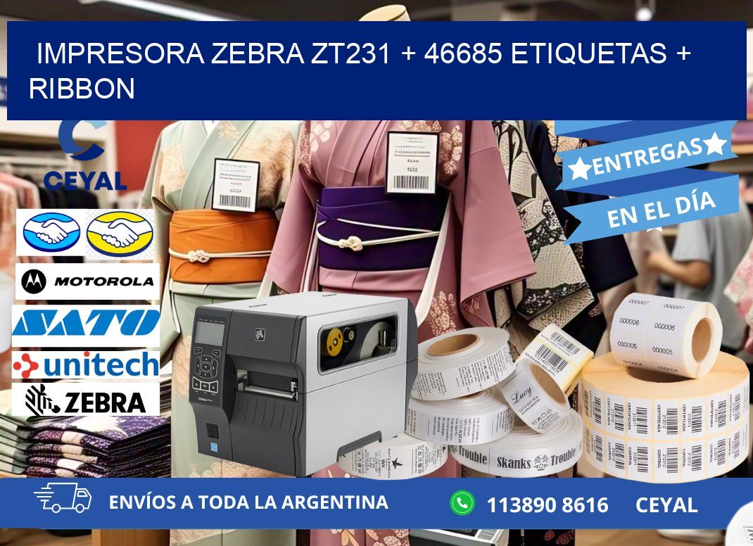 impresora zebra zt231 + 46685 etiquetas + ribbon