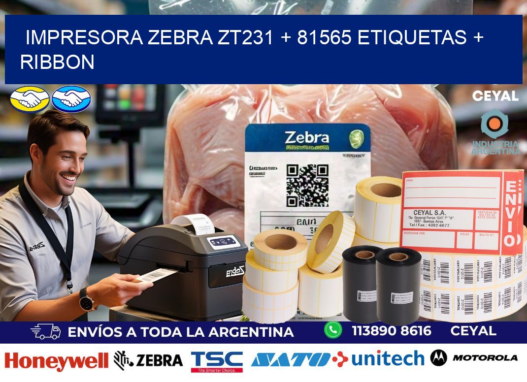 impresora zebra zt231 + 81565 etiquetas + ribbon