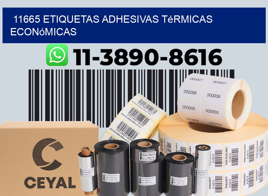 11665 etiquetas adhesivas térmicas económicas