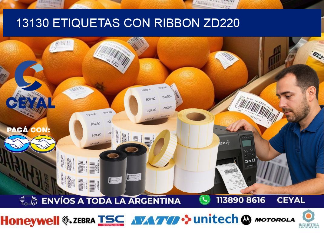 13130 etiquetas con ribbon zd220