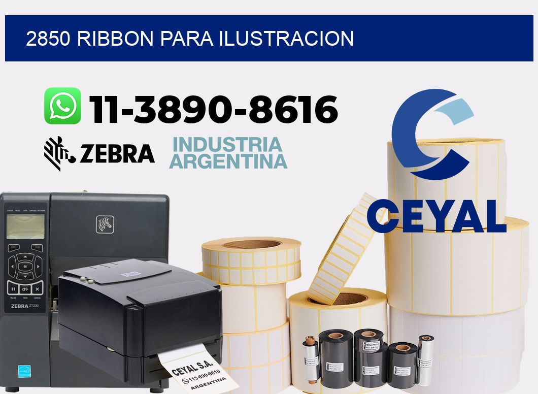 2850 ribbon para ilustracion