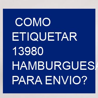 como etiquetar 13980  hamburguesas para envio?