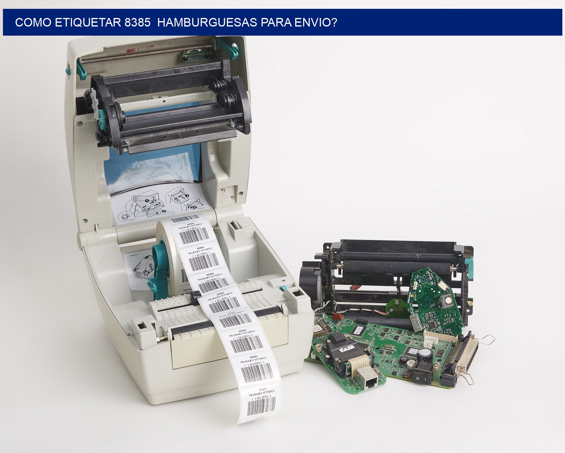 como etiquetar 8385 hamburguesas para envio?