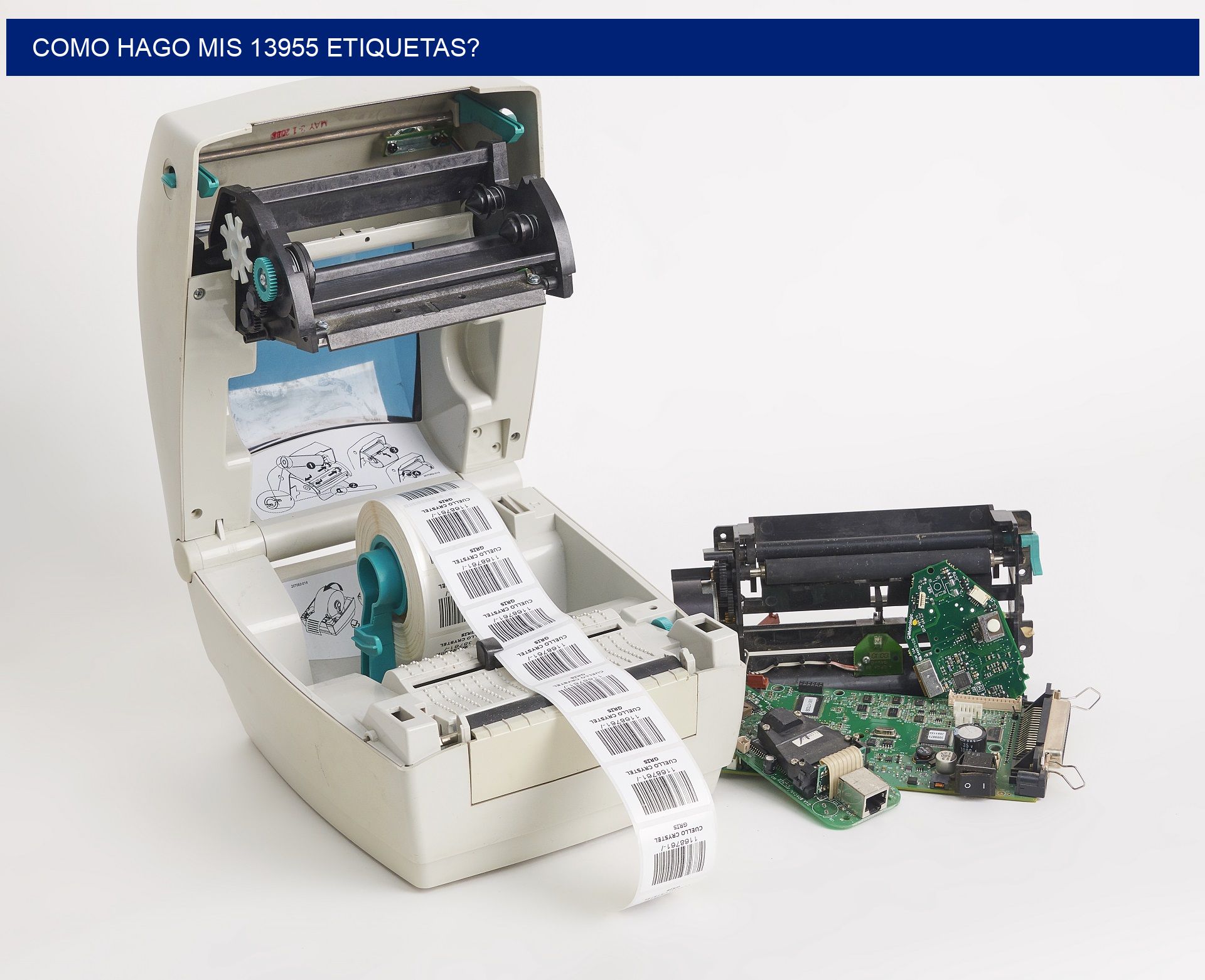 como hago mis 13955 etiquetas?