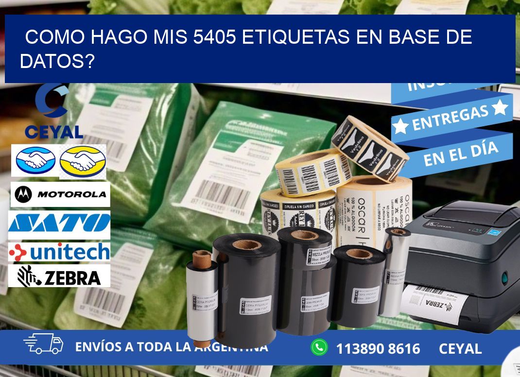 como hago mis 5405 etiquetas en base de datos?