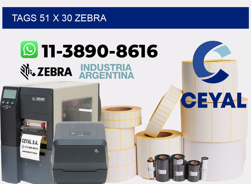 tags 51 x 30 zebra