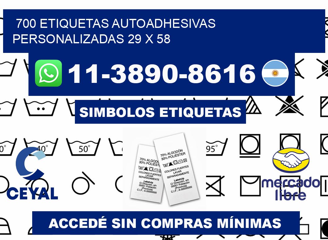 700 Etiquetas autoadhesivas personalizadas 29 x 58