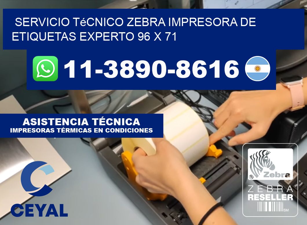 Servicio Técnico Zebra Impresora de Etiquetas Experto 96 x 71