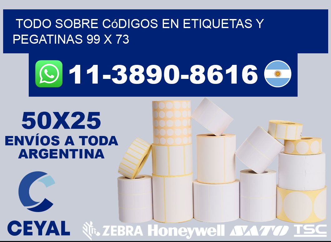 Todo sobre códigos en etiquetas y pegatinas 99 x 73