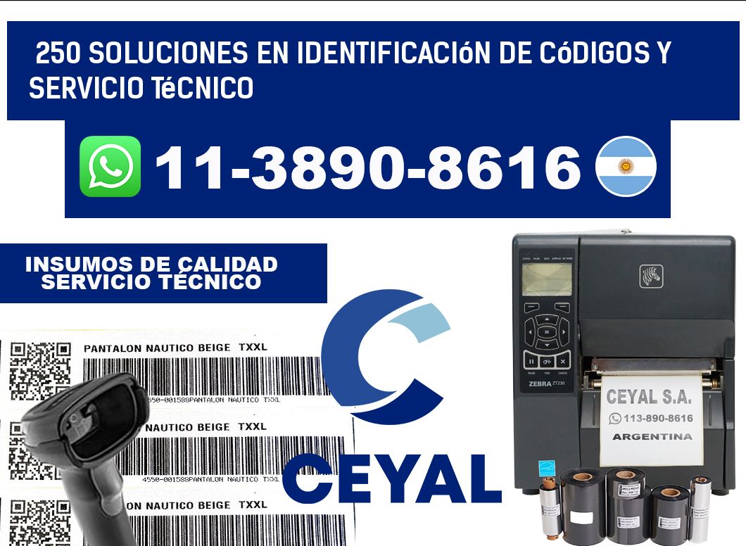250 Soluciones en Identificación de códigos y Servicio Técnico