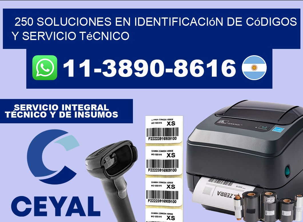 250 Soluciones en Identificación de códigos y Servicio Técnico