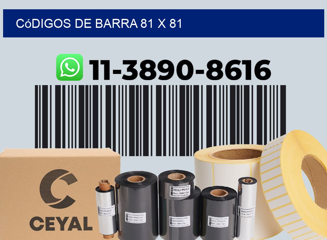 códigos de barra 81 x 81