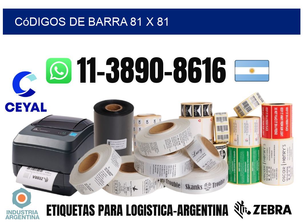 códigos de barra 81 x 81