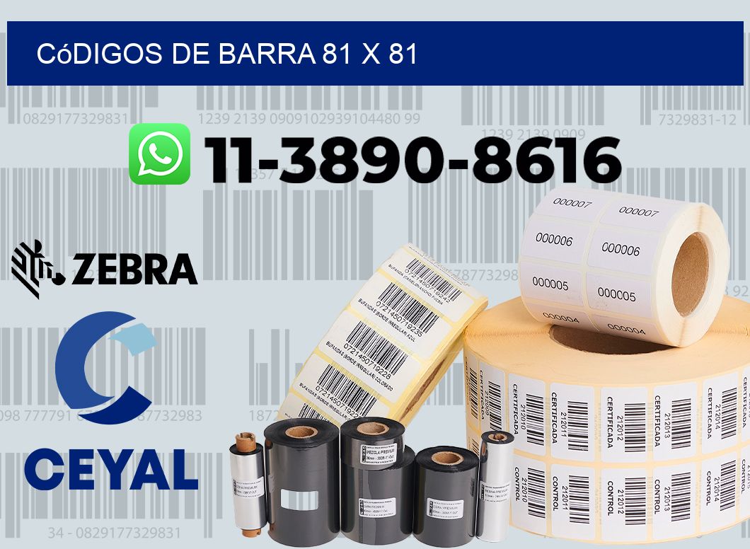códigos de barra 81 x 81