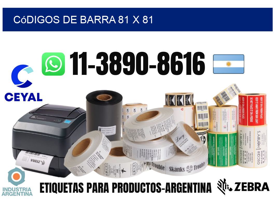 códigos de barra 81 x 81